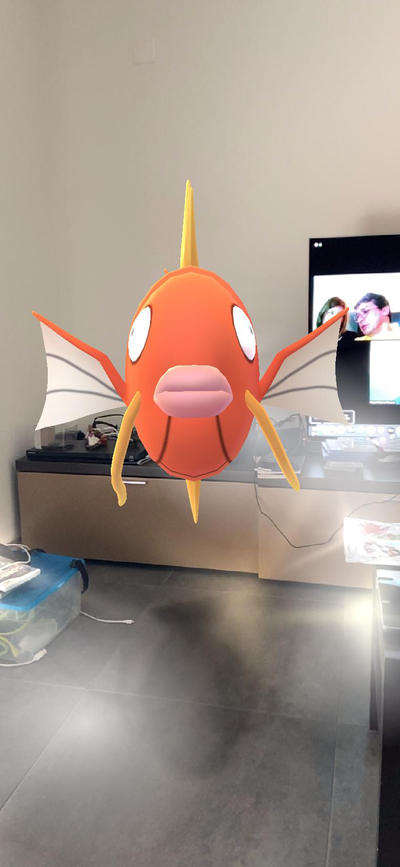 Magicarp in the room by Blackonslaugth on DeviantArt