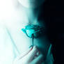 the blue rose