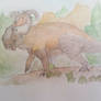 pachyrhinosaurus