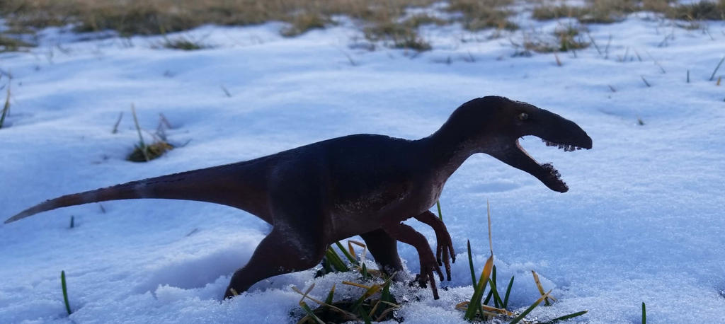 Raptor in the snow by zachrobinson on DeviantArt