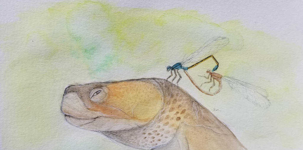 Deviantart Insect Love Bug love by zachrobinson on DeviantArt