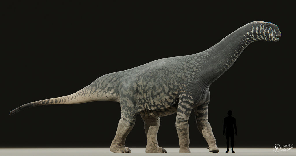 Hungasaurus Shunosaurus jiangyiensis by zachrobinson on DeviantArt