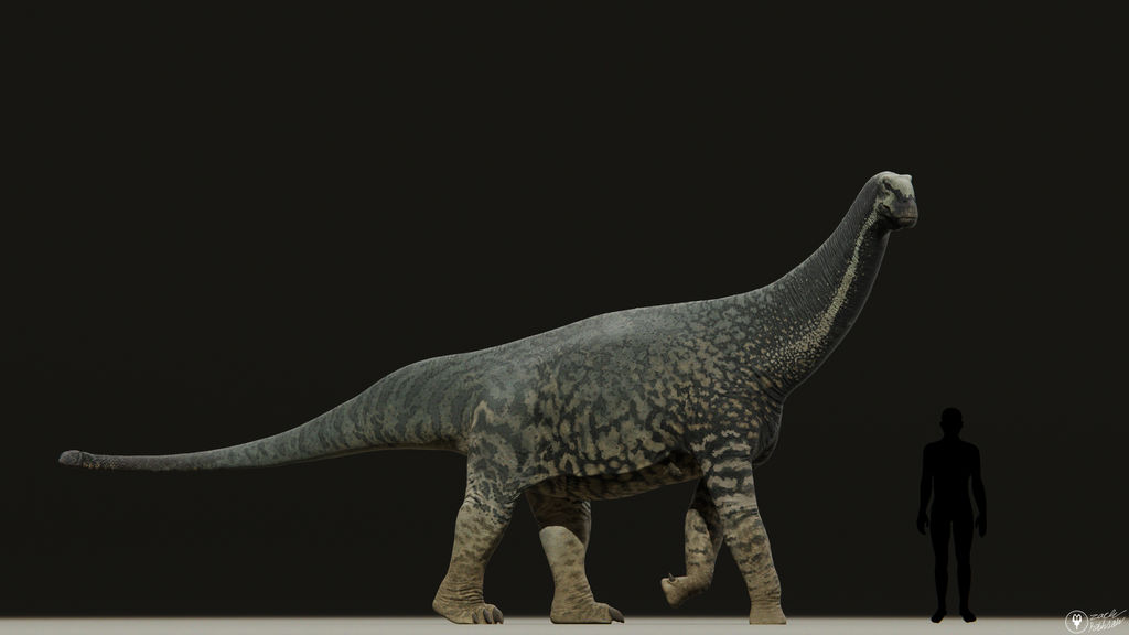 Hungasaurus Shunosaurus lii by zachrobinson on DeviantArt