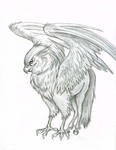 Hippogriff by Lizzy23