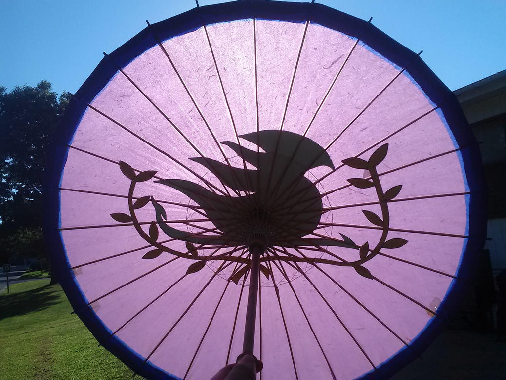 inside of fairytail parasol by Erza2016