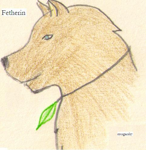 Fetherin Fetherin by cougar-heart on DeviantArt