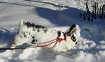 Paulina running in the snow by Calitha-Lena