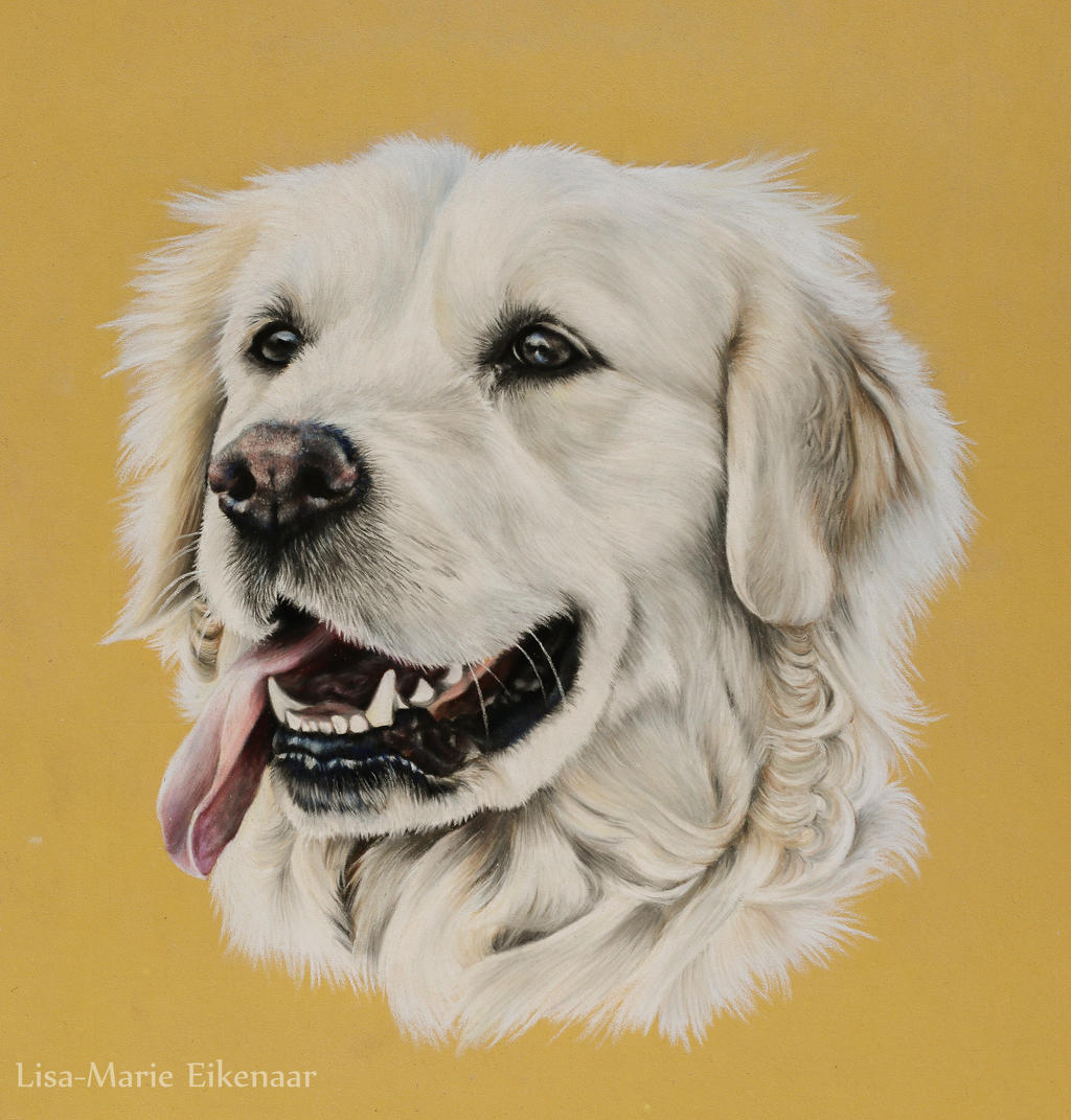 Beau, 24x30 cm. Pastel