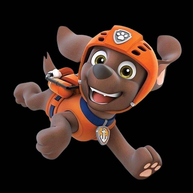 Zuma Deviantart Paw patrol zuma by golda3000 on DeviantArt