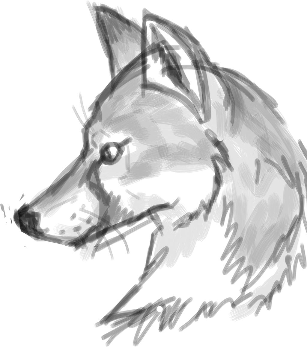 foxfoxfox