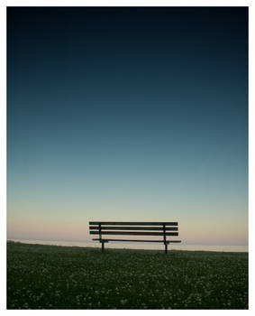 The Bench