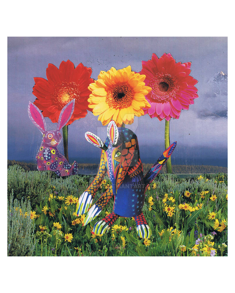 Spring Frolic They Frolic in the Spring by AWeibel on DeviantArt