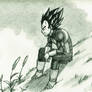 Prince Vegeta