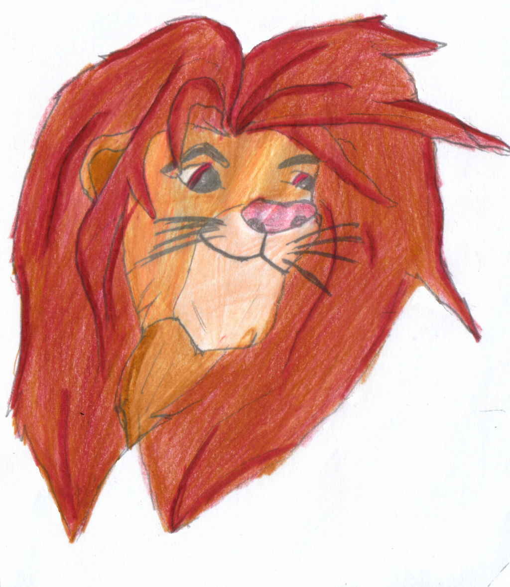 Simba - Colour by DaxterD on DeviantArt