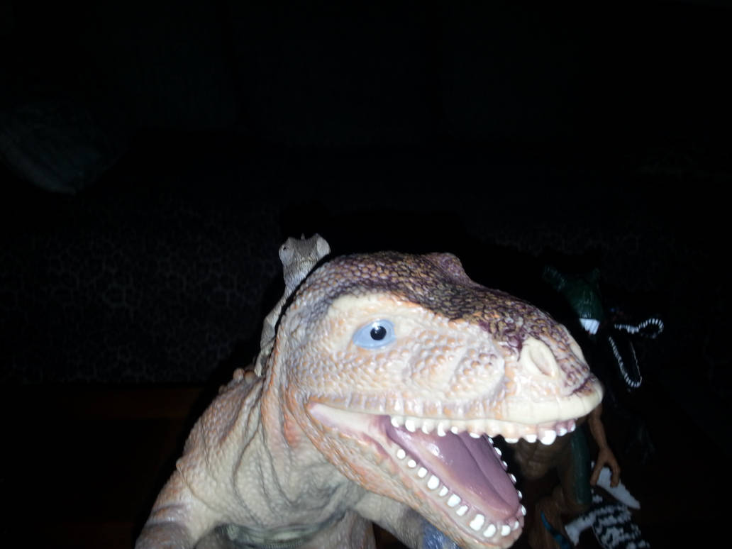 Chamaeleo chamaeleon -Watching Rango (3) by odissssseu on DeviantArt