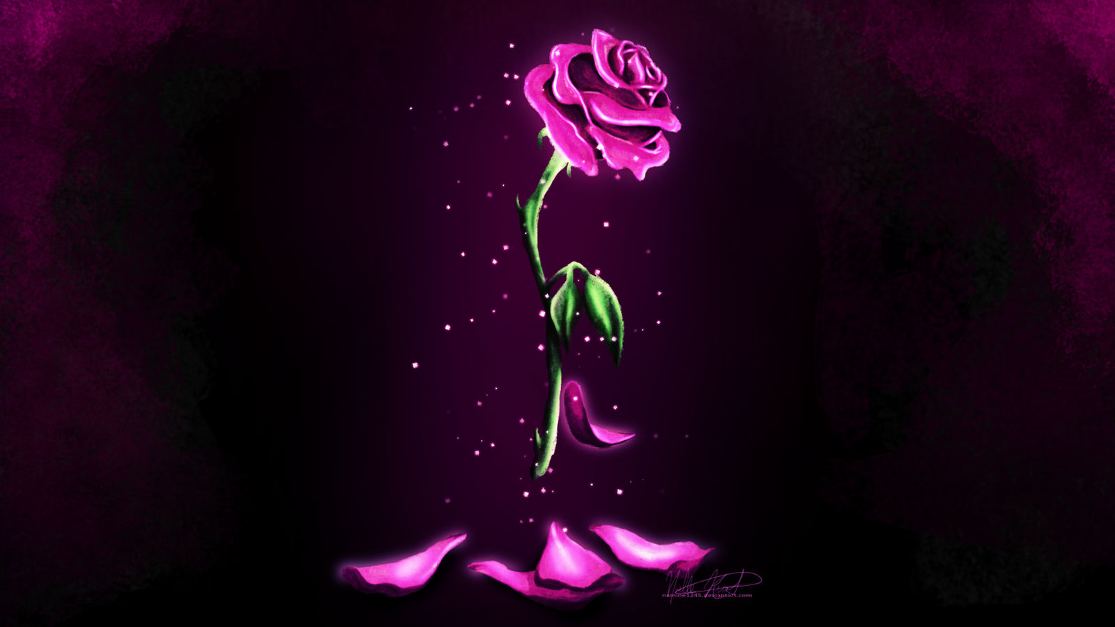 Enchanted Rose Wallpaper