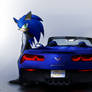 Sonic and Corvette Stingray