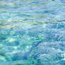 Water Reflections