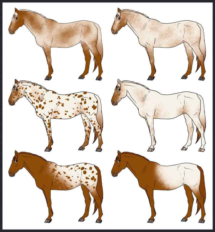 CP Colour Guide | Leopard Complex by CPA-Admin on DeviantArt