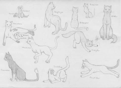 Warrior Cats - Random Group 2