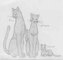 Warrior Cats - Family 3