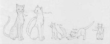 Warrior Cats - Family 4