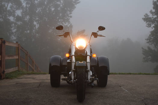 New Trike - Foggy Morning