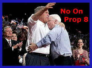 no on prop 8...