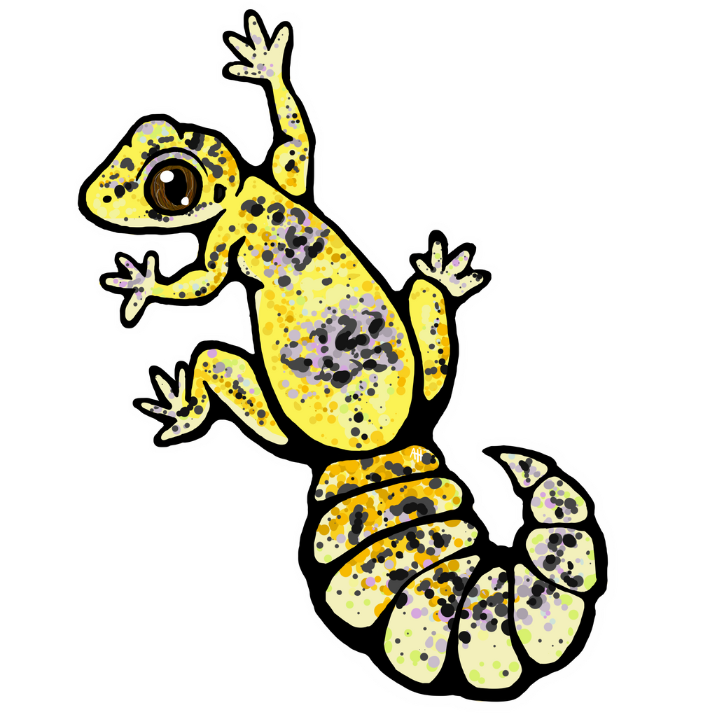 Leopard gecko decal best sale