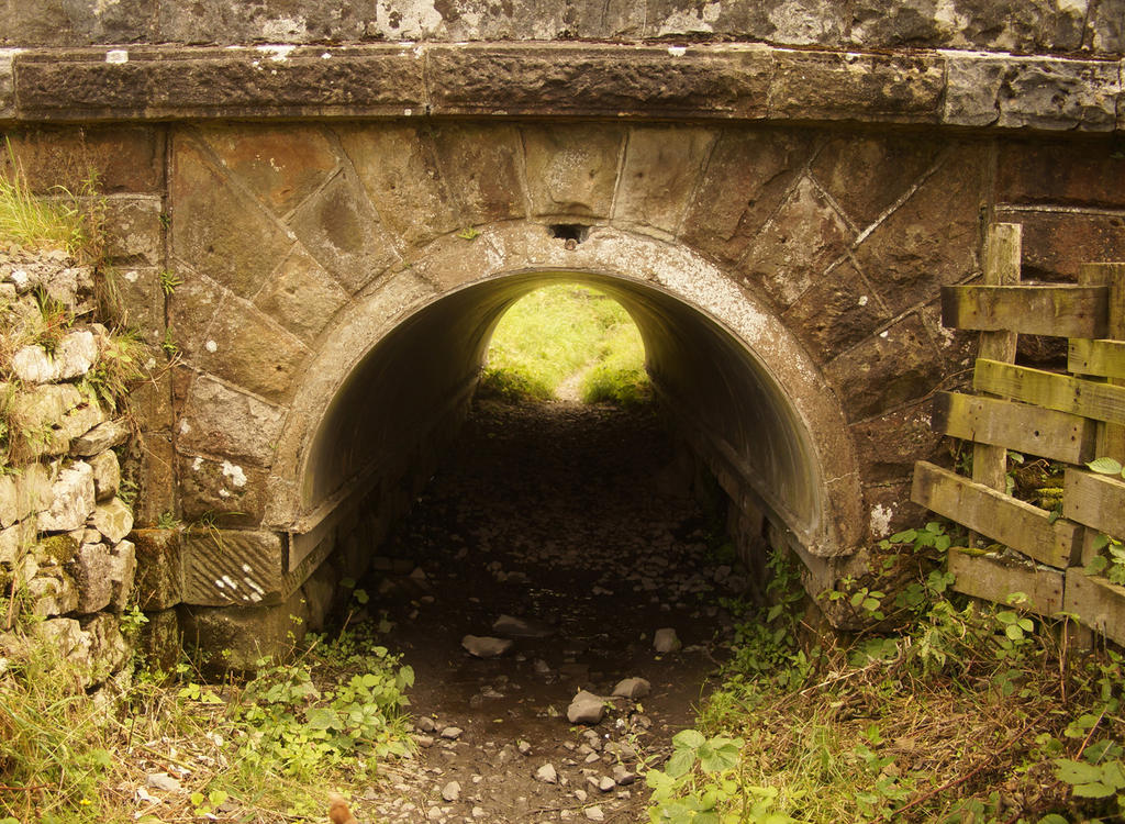 Sheep Tunnel