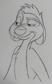 Explore the Best Timon Art | DeviantArt