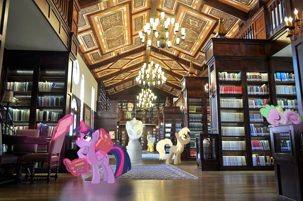 Library Irl IRL Twilibrary by DoodlingRace on DeviantArt