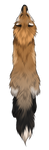 Red Fox Pelt by TokoTime