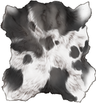 Silver Piebald Pelt by TokoTime