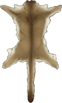 Tan Mountain Lion Pelt by TokoTime