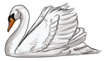 Swan by TokoTime
