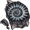 Ammonite by TokoTime