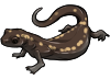 Yellow Salamander by TokoTime