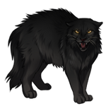 Black Cat Companion by TokoTime
