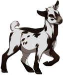 Piebald Pygmy Goat by TokoTime