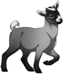 Grey Pygmy Goat by TokoTime