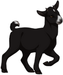 Black Pygmy Goat by TokoTime