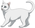 White Cat by TokoTime