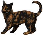 Tortoiseshell Cat by TokoTime