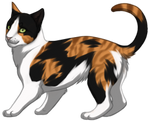 Calico Cat by TokoTime