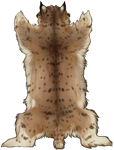 Regular Lynx Pelt by TokoTime