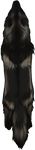 Melanistic Coyote Pelt by TokoTime
