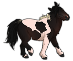 Piebald Bay Miniature Horse by TokoTime