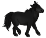 Black Miniature Horse by TokoTime