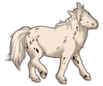 Fewspot Miniature Horse by TokoTime